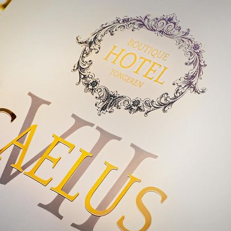 Boutique Hotel Caelus VII Tongeren Kültér fotó