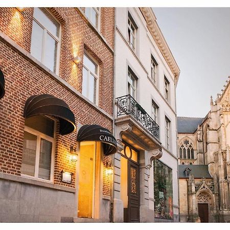 Boutique Hotel Caelus VII Tongeren Kültér fotó