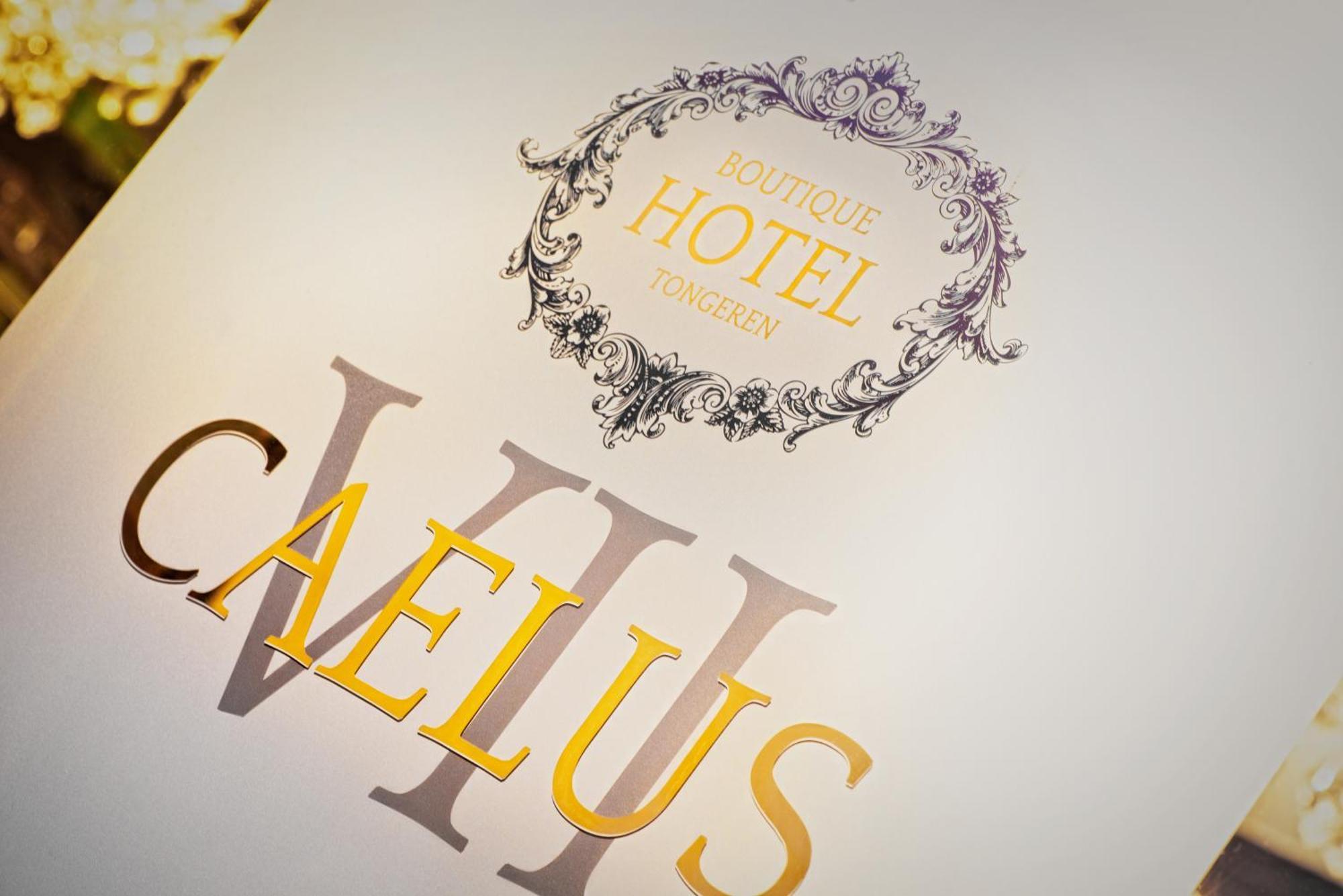 Boutique Hotel Caelus VII Tongeren Kültér fotó